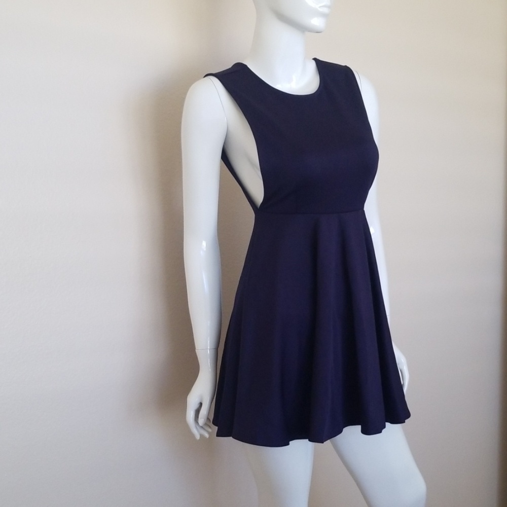 Candace Skater Dress